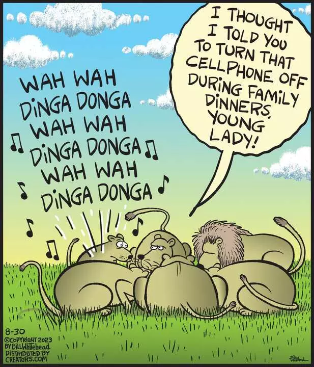 Free Range for Aug 30, 2023