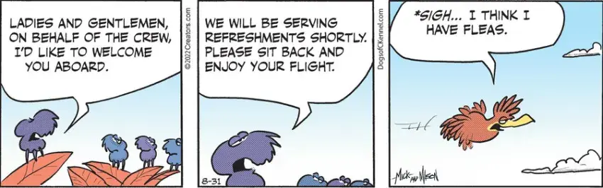 Dogs of C-Kennel for Aug 31, 2022