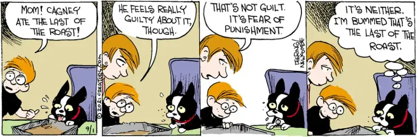 Zack Hill for Sep 01, 2021