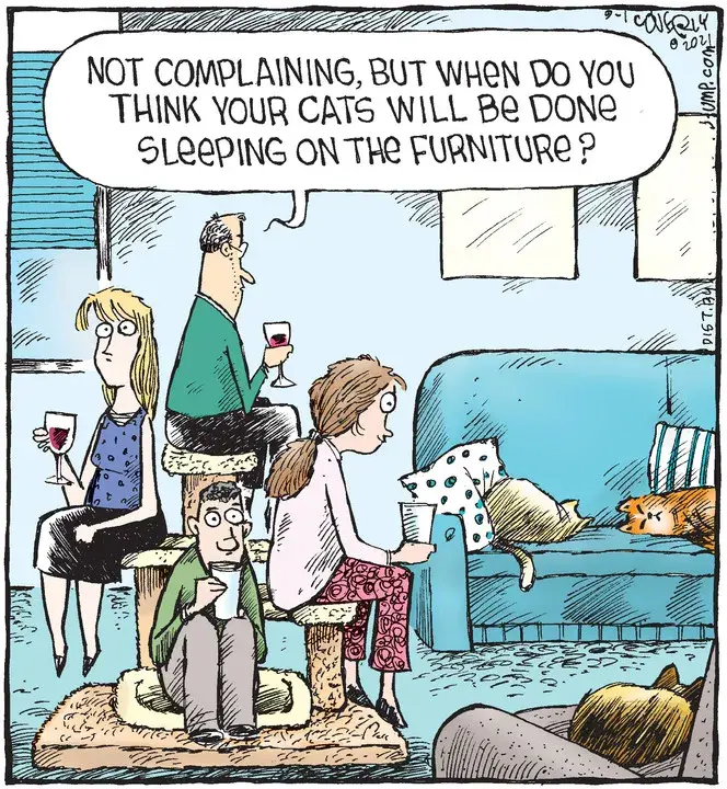 Speed Bump for Sep 01, 2021