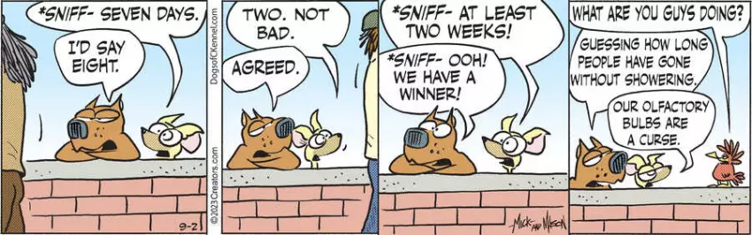 Dogs of C-Kennel for Sep 02, 2023
