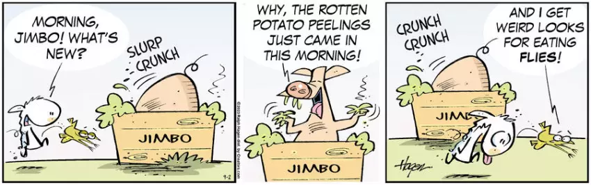 The Barn for Sep 02, 2023