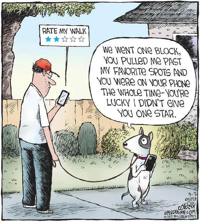 Speed Bump for Sep 02, 2024