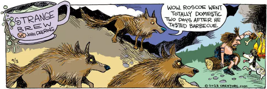 Strange Brew for Sep 03, 2023