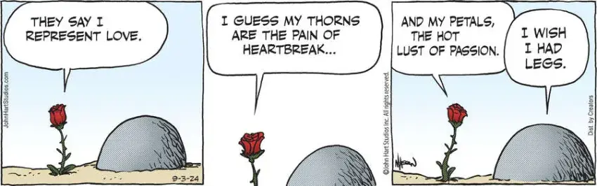 B.C. for Sep 03, 2024