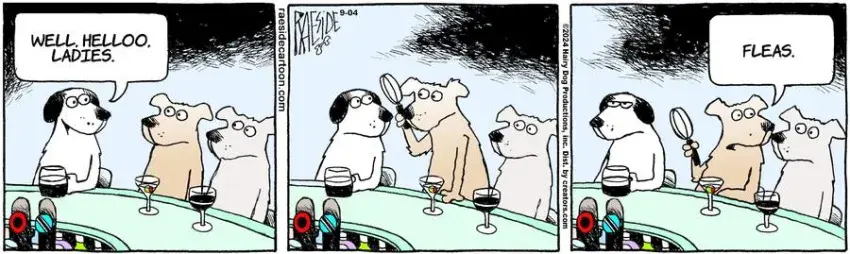 The Other Coast for Sep 04, 2024