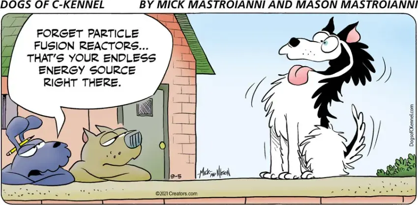 Dogs of C-Kennel for Sep 05, 2021