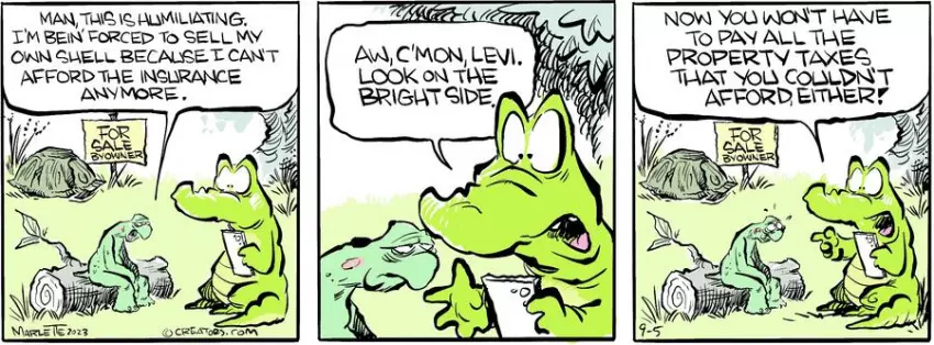 Shrimp and Grits for Sep 05, 2023