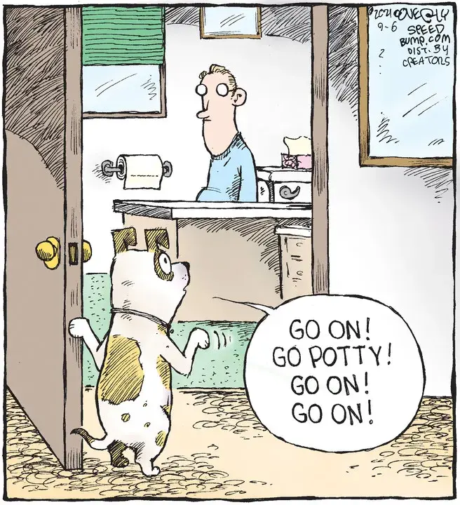 Speed Bump for Sep 06, 2021