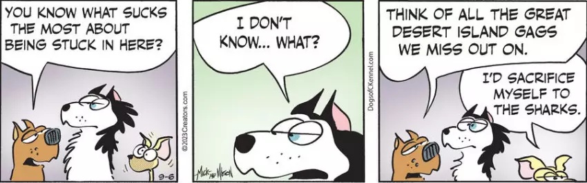 Dogs of C-Kennel for Sep 06, 2023