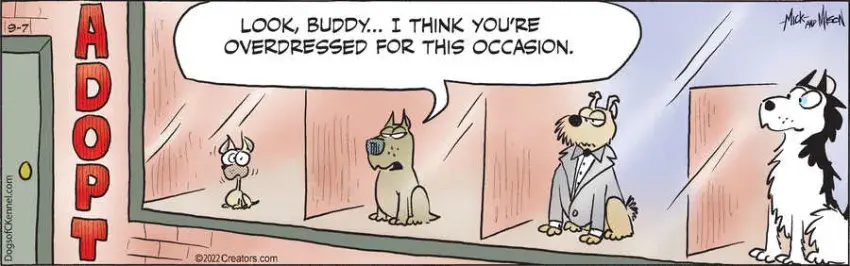 Dogs of C-Kennel for Sep 07, 2022