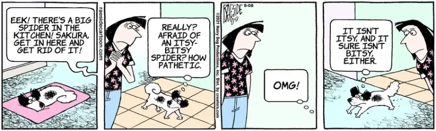 The Other Coast for Sep 08, 2021