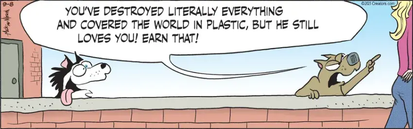 Dogs of C-Kennel for Sep 08, 2021