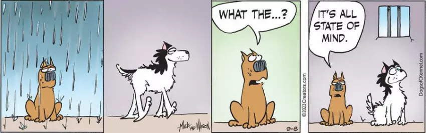 Dogs of C-Kennel for Sep 08, 2023