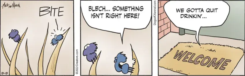 Dogs of C-Kennel for Sep 09, 2022