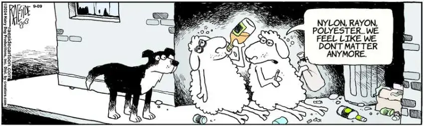 The Other Coast for Sep 09, 2024