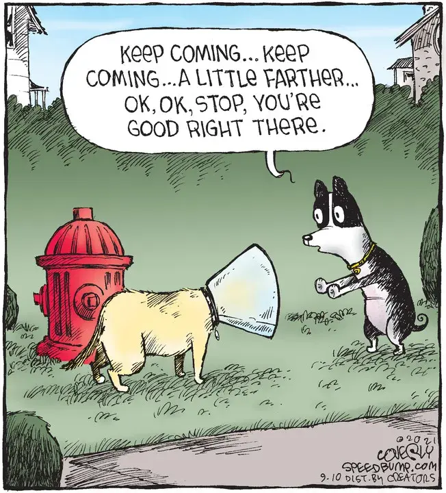 Speed Bump for Sep 10, 2021