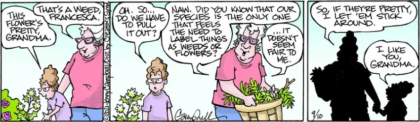 Flo & Friends for Sep 10, 2021