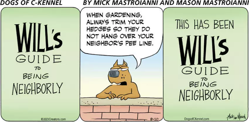 Dogs of C-Kennel for Sep 10, 2023