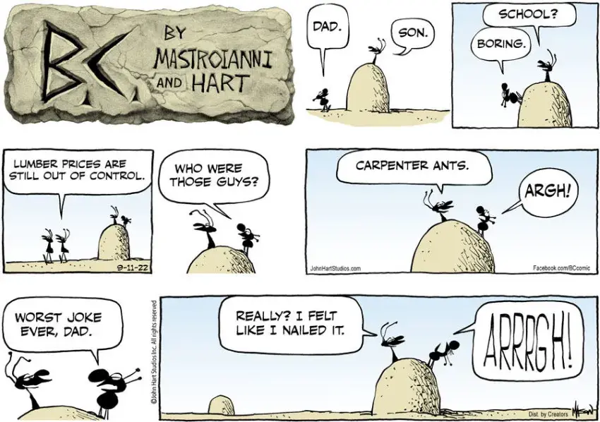 B.C. for Sep 11, 2022