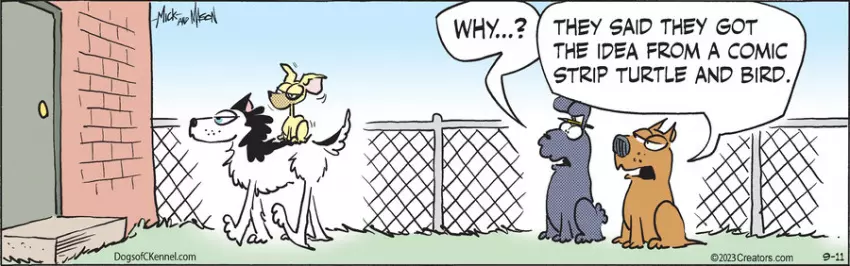 Dogs of C-Kennel for Sep 11, 2023