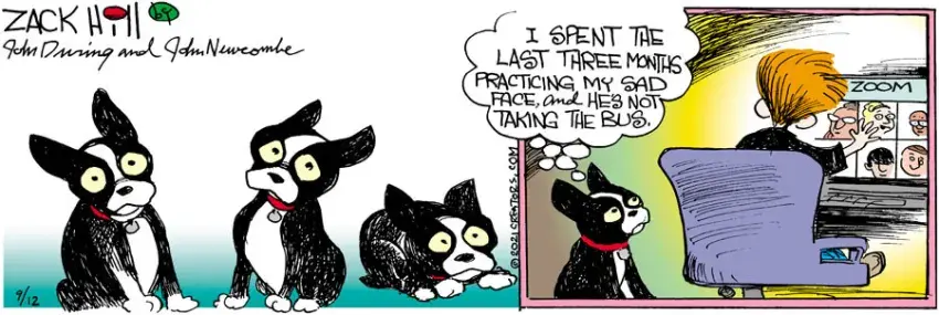 Zack Hill for Sep 12, 2021