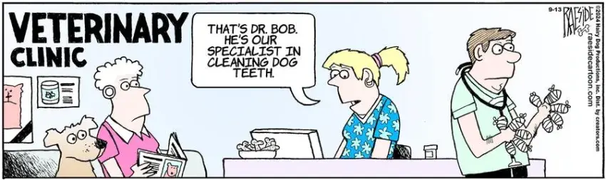 The Other Coast for Sep 13, 2024