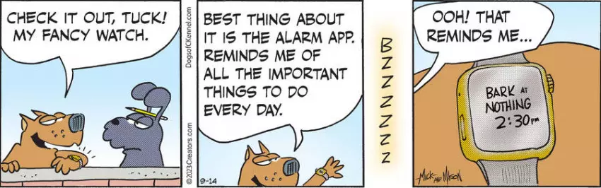 Dogs of C-Kennel for Sep 14, 2023