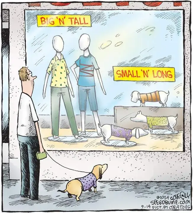 Speed Bump for Sep 14, 2024