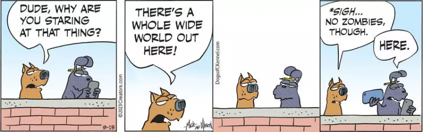 Dogs of C-Kennel for Sep 15, 2023