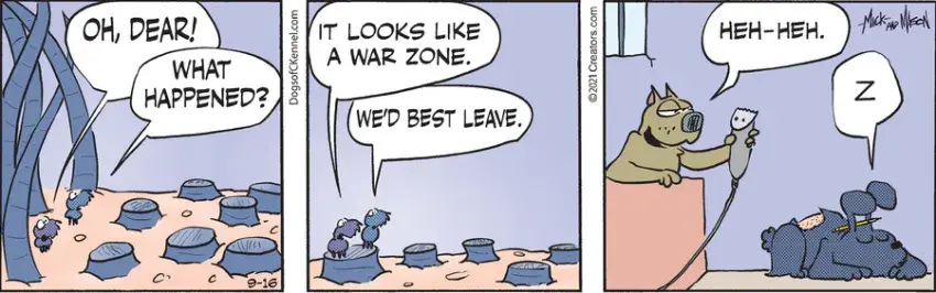 Dogs of C-Kennel for Sep 16, 2021