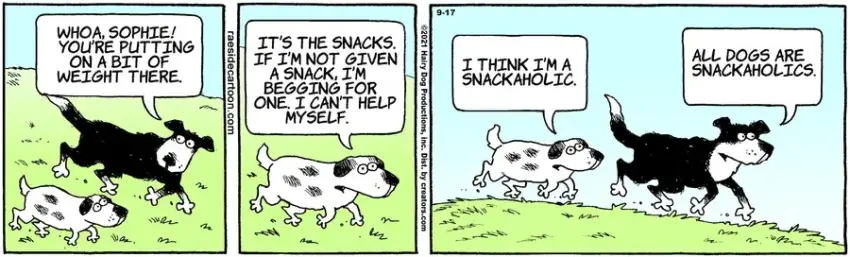 The Other Coast for Sep 17, 2021