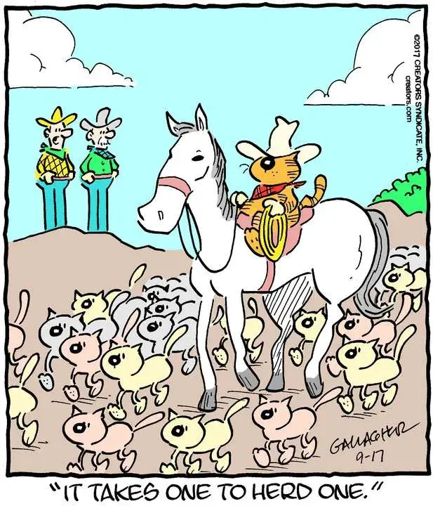 Heathcliff for Sep 17, 2022