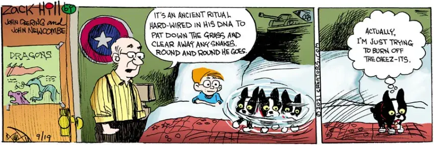 Zack Hill for Sep 19, 2021