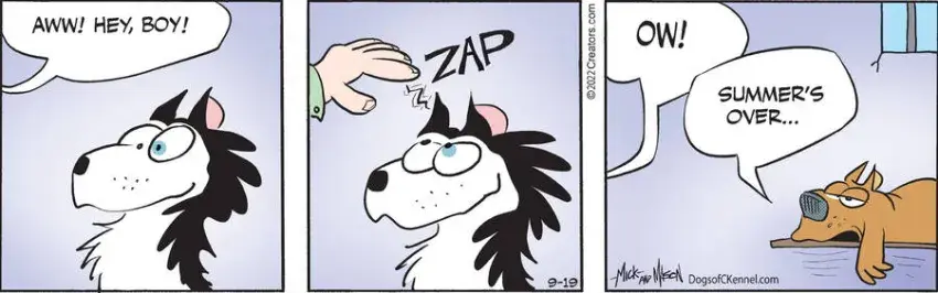 Dogs of C-Kennel for Sep 19, 2022