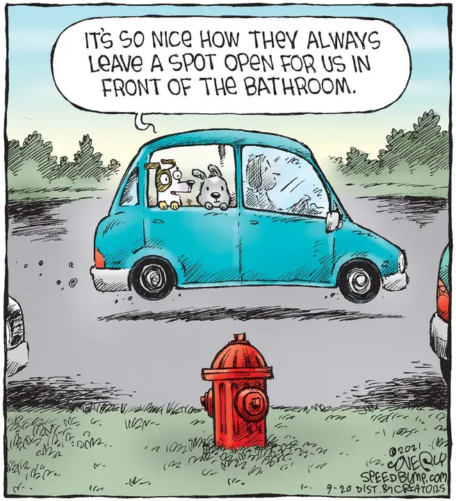 Speed Bump for Sep 20, 2021