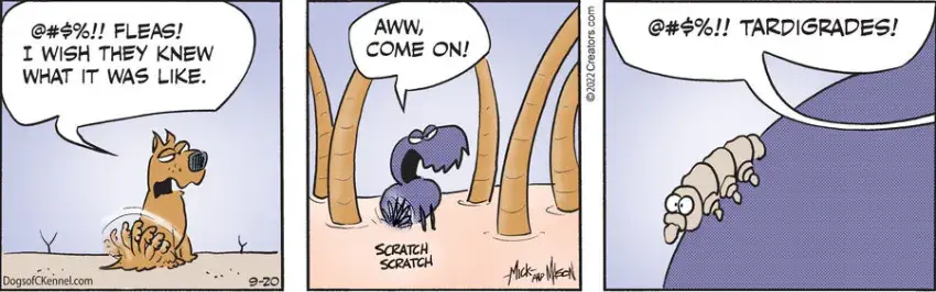 Dogs of C-Kennel for Sep 20, 2022