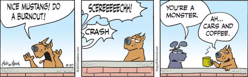 Dogs of C-Kennel for Sep 20, 2023