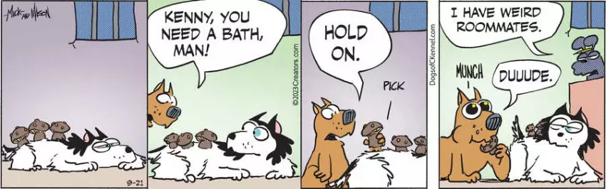 Dogs of C-Kennel for Sep 21, 2023