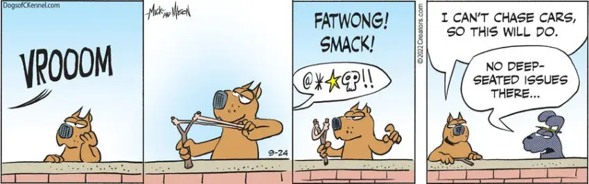 Dogs of C-Kennel for Sep 24, 2022