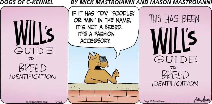 Dogs of C-Kennel for Sep 24, 2023