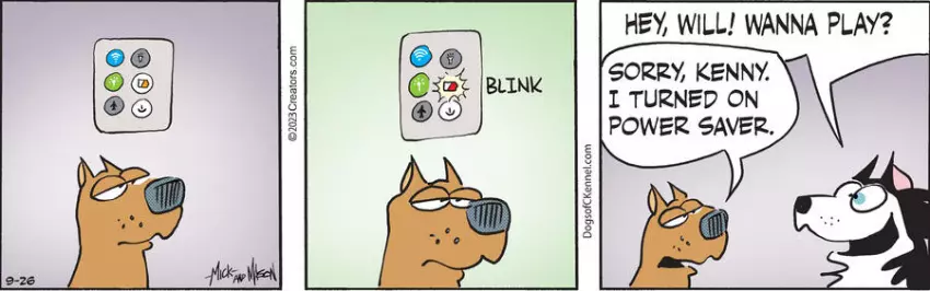 Dogs of C-Kennel for Sep 26, 2023