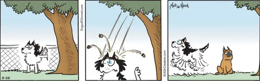 Dogs of C-Kennel for Sep 26, 2024