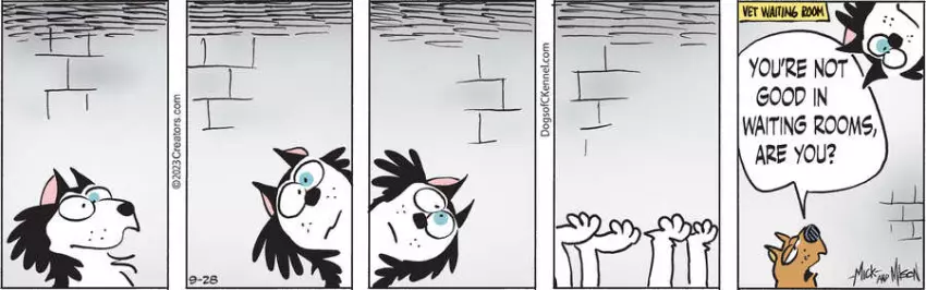 Dogs of C-Kennel for Sep 28, 2023