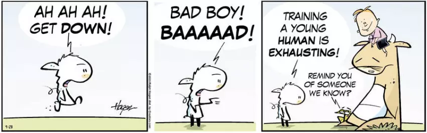 The Barn for Sep 28, 2023