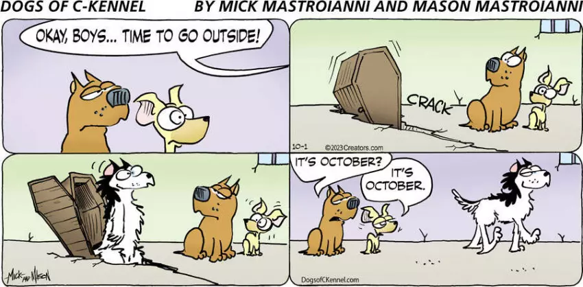 Dogs of C-Kennel for Oct 01, 2023