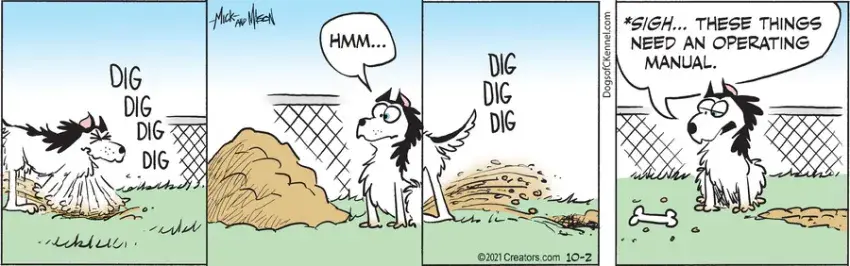 Dogs of C-Kennel for Oct 02, 2021