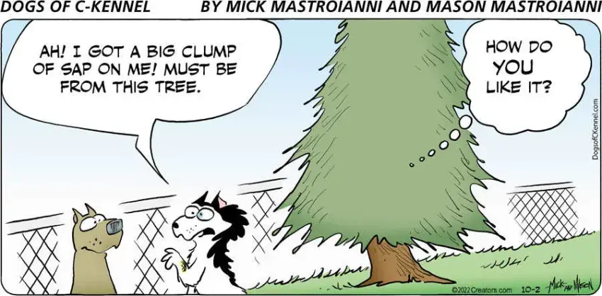 Dogs of C-Kennel for Oct 02, 2022