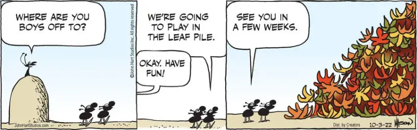 B.C. for Oct 03, 2022