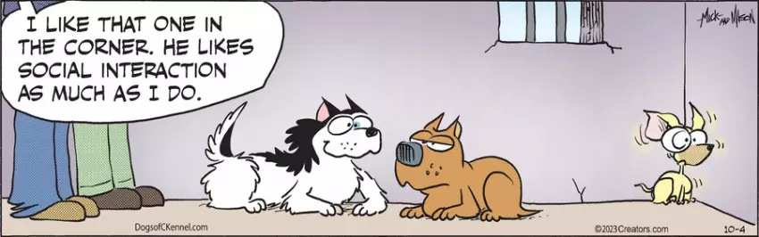 Dogs of C-Kennel for Oct 04, 2023